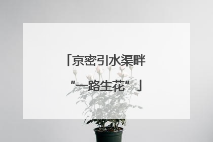 京密引水渠畔“一路生花”