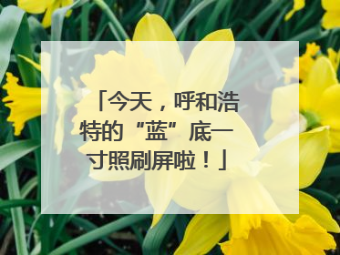 今天，呼和浩特的“蓝”底一寸照刷屏啦！