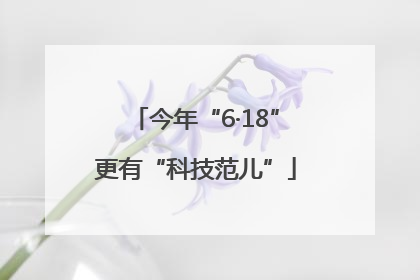 今年“6·18”更有“科技范儿”