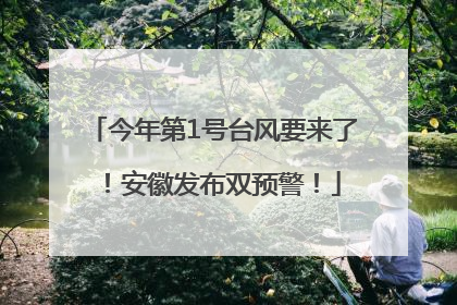 今年第1号台风要来了！安徽发布双预警！