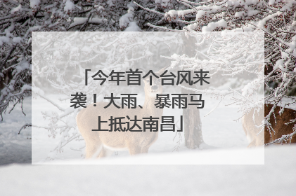 今年首个台风来袭！大雨、暴雨马上抵达南昌