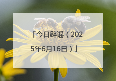 今日辟谣（2025年6月16日）