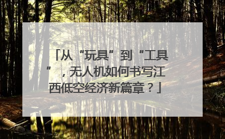 从“玩具”到“工具”，无人机如何书写江西低空经济新篇章？
