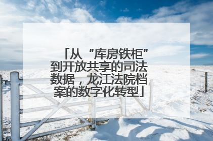 从“库房铁柜”到开放共享的司法数据，龙江法院档案的数字化转型