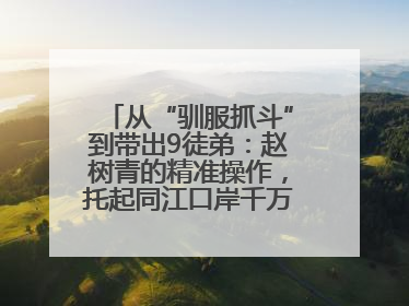 从“驯服抓斗”到带出9徒弟：赵树青的精准操作，托起同江口岸千万吨过货量
