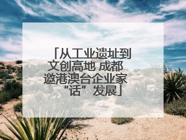 从工业遗址到文创高地 成都邀港澳台企业家“话”发展