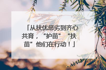 从扶优惩劣到齐心共育，“护苗”“扶苗”他们在行动！