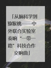 从脑科学到猕猴桃——中外联合实验室奏响“一带一路”科技合作交响曲