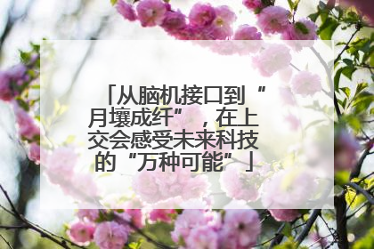 从脑机接口到“月壤成纤”，在上交会感受未来科技的“万种可能”