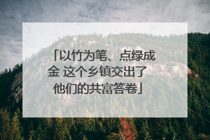 以竹为笔、点绿成金 这个乡镇交出了他们的共富答卷