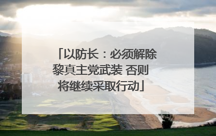 以防长：必须解除黎真主党武装 否则将继续采取行动