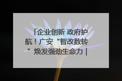 企业创新 政府护航！广安“智改数转”焕发强劲生命力｜市州焕新力