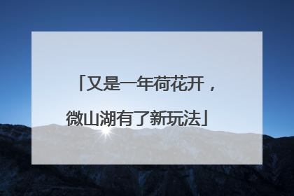 又是一年荷花开，微山湖有了新玩法