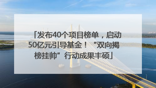发布40个项目榜单，启动50亿元引导基金！“双向揭榜挂帅”行动成果丰硕