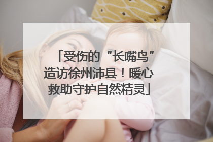 受伤的“长嘴鸟”造访徐州沛县！暖心救助守护自然精灵