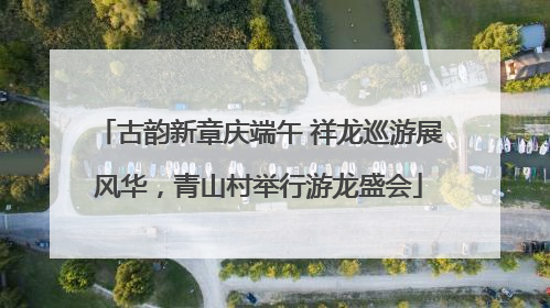 古韵新章庆端午 祥龙巡游展风华，青山村举行游龙盛会