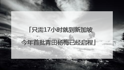 只需17小时就到新加坡 今年首批青田杨梅已经启程