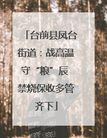 台前县凤台街道：战高温守“粮”辰 禁烧保收多管齐下
