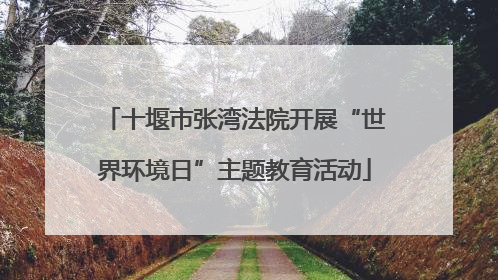 十堰市张湾法院开展“世界环境日”主题教育活动