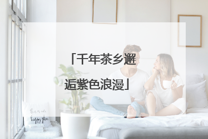 千年茶乡邂逅紫色浪漫