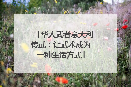 华人武者意大利传武：让武术成为一种生活方式