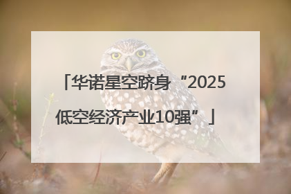 华诺星空跻身“2025低空经济产业10强”