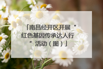 南昌经开区开展“红色基因传承达人行”活动（图）