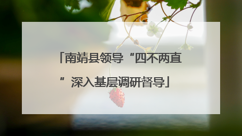 南靖县领导“四不两直”深入基层调研督导