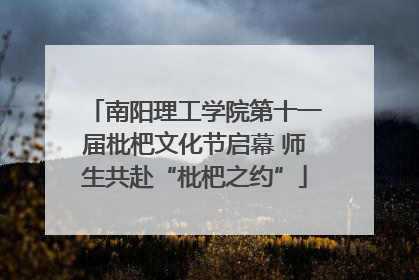 南阳理工学院第十一届枇杷文化节启幕 师生共赴“枇杷之约”