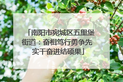 南阳市宛城区五里堡街道：奋楫笃行勇争先 实干奋进结硕果