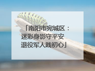 南阳市宛城区：迷彩身影守平安 退役军人践初心