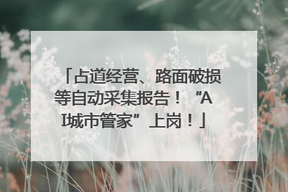 占道经营、路面破损等自动采集报告！“AI城市管家”上岗！