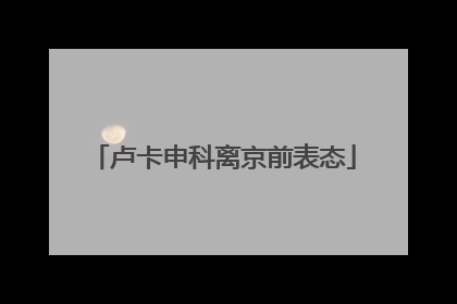 卢卡申科离京前表态