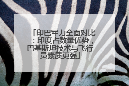 印巴军力全面对比：印度占数量优势，巴基斯坦技术与飞行员素质更强