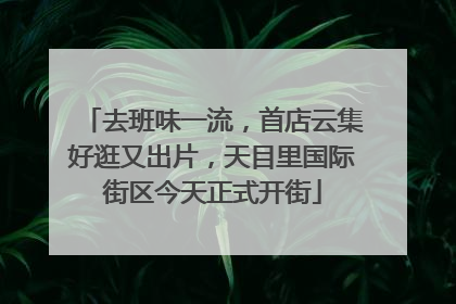 去班味一流，首店云集好逛又出片，天目里国际街区今天正式开街