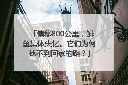 偏移800公里，鲱鱼集体失忆。它们为何找不到回家的路？