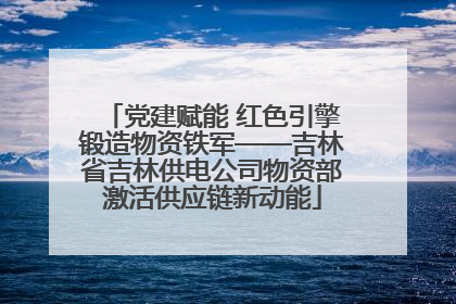 党建赋能 红色引擎锻造物资铁军——吉林省吉林供电公司物资部激活供应链新动能
