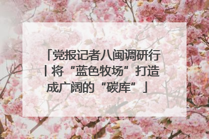 党报记者八闽调研行丨将“蓝色牧场”打造成广阔的“碳库”