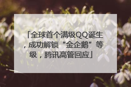 全球首个满级QQ诞生，成功解锁“金企鹅”等级，腾讯高管回应