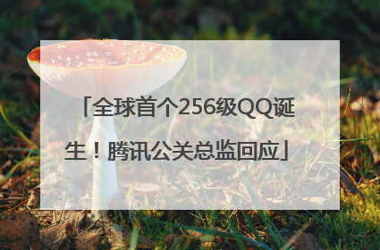 全球首个256级QQ诞生！腾讯公关总监回应