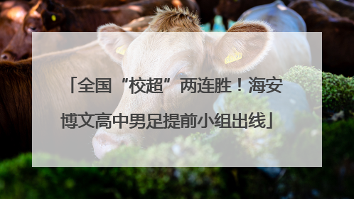 全国“校超”两连胜！海安博文高中男足提前小组出线
