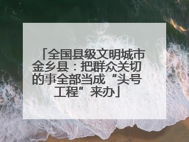 全国县级文明城市金乡县：把群众关切的事全部当成“头号工程”来办