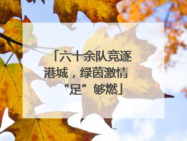 六十余队竞逐港城，绿茵激情“足”够燃