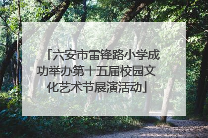 六安市雷锋路小学成功举办第十五届校园文化艺术节展演活动
