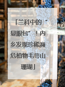 兰科中的“显眼包”！内乡发现珍稀濒危植物毛萼山珊瑚