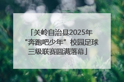 关岭自治县2025年“奔跑吧少年”校园足球三级联赛圆满落幕