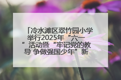 冷水滩区翠竹园小学举行2025年“六一”活动暨“牢记党的教导 争做强国少年”新队员入队仪式
