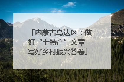 内蒙古乌达区：做好“土特产”文章 写好乡村振兴答卷