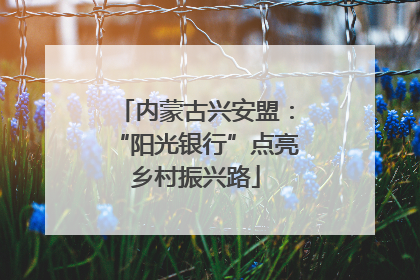 内蒙古兴安盟：“阳光银行”点亮乡村振兴路