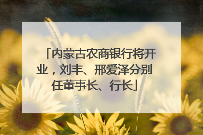 内蒙古农商银行将开业，刘丰、邢爱泽分别任董事长、行长